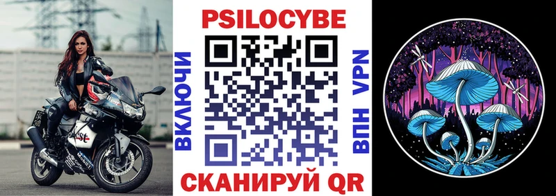 купить  цена  Чебаркуль  маркетплейс какой сайт  Псилоцибиновые грибы Psilocybine cubensis 